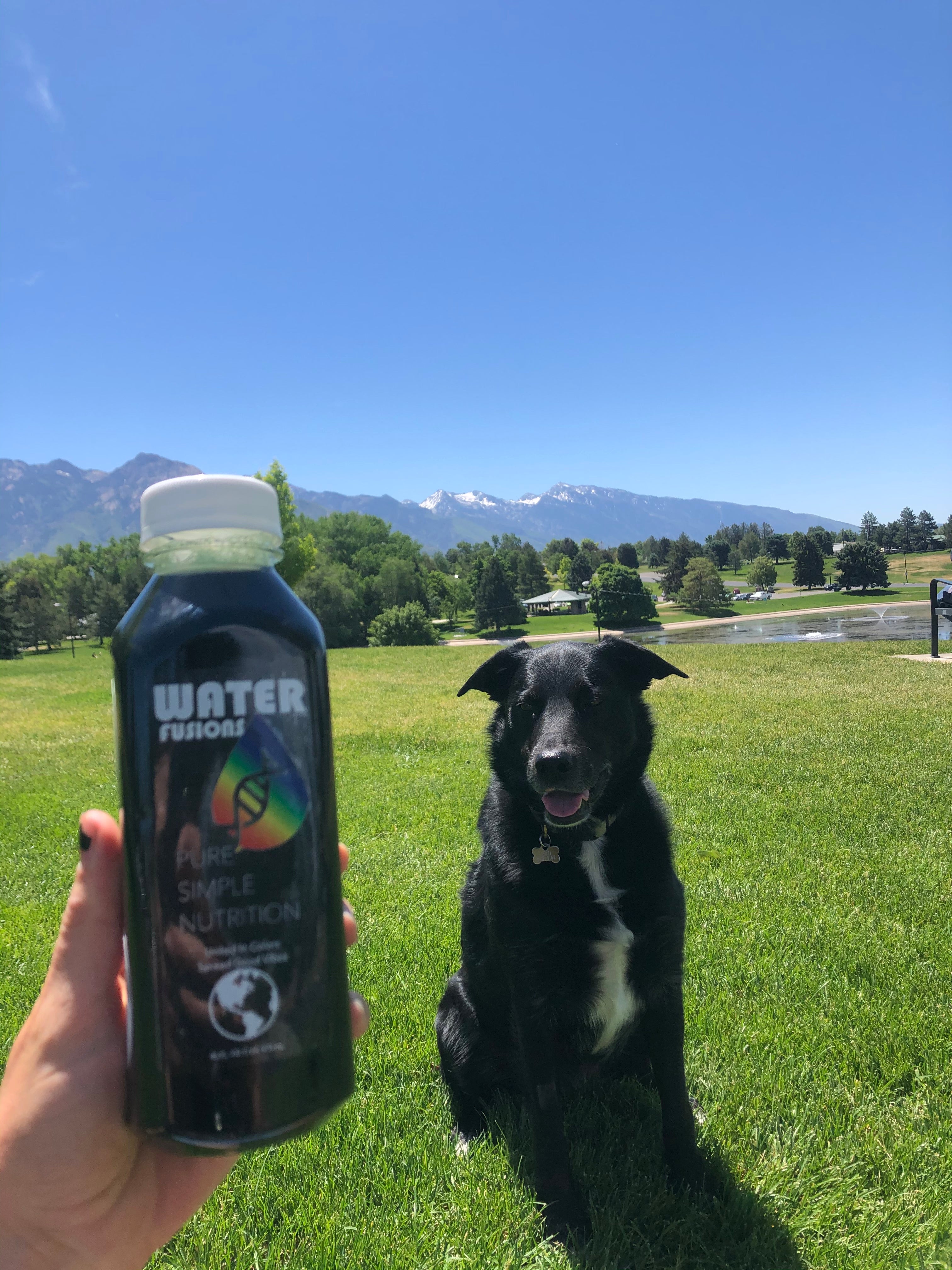 Detox, nourish and hydrate your body back to feeling 100% good vibes!