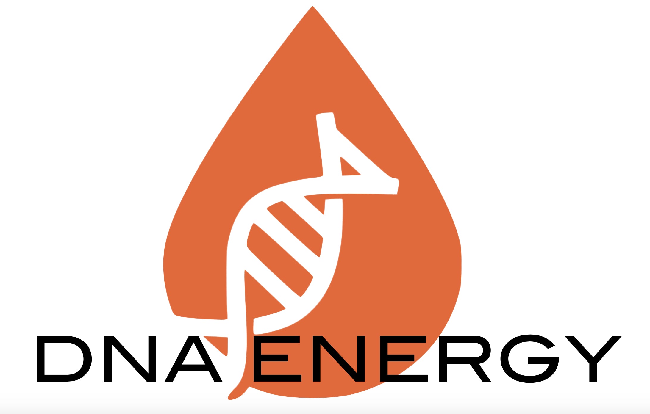 3 epigenetic life cycles