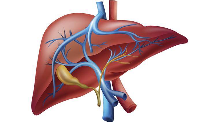 Take care of your Liver
