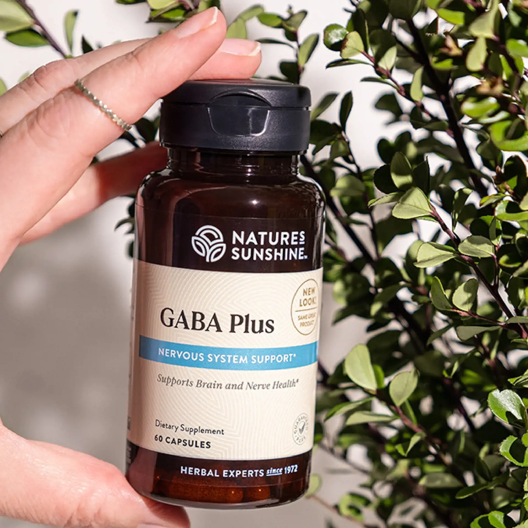 neurotransmitter nervous system support formula