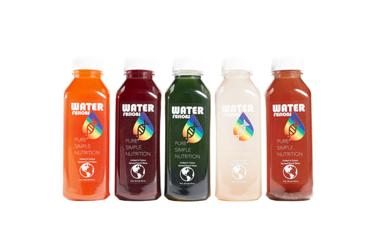 immune support hydration drinks citrus ginger berry
