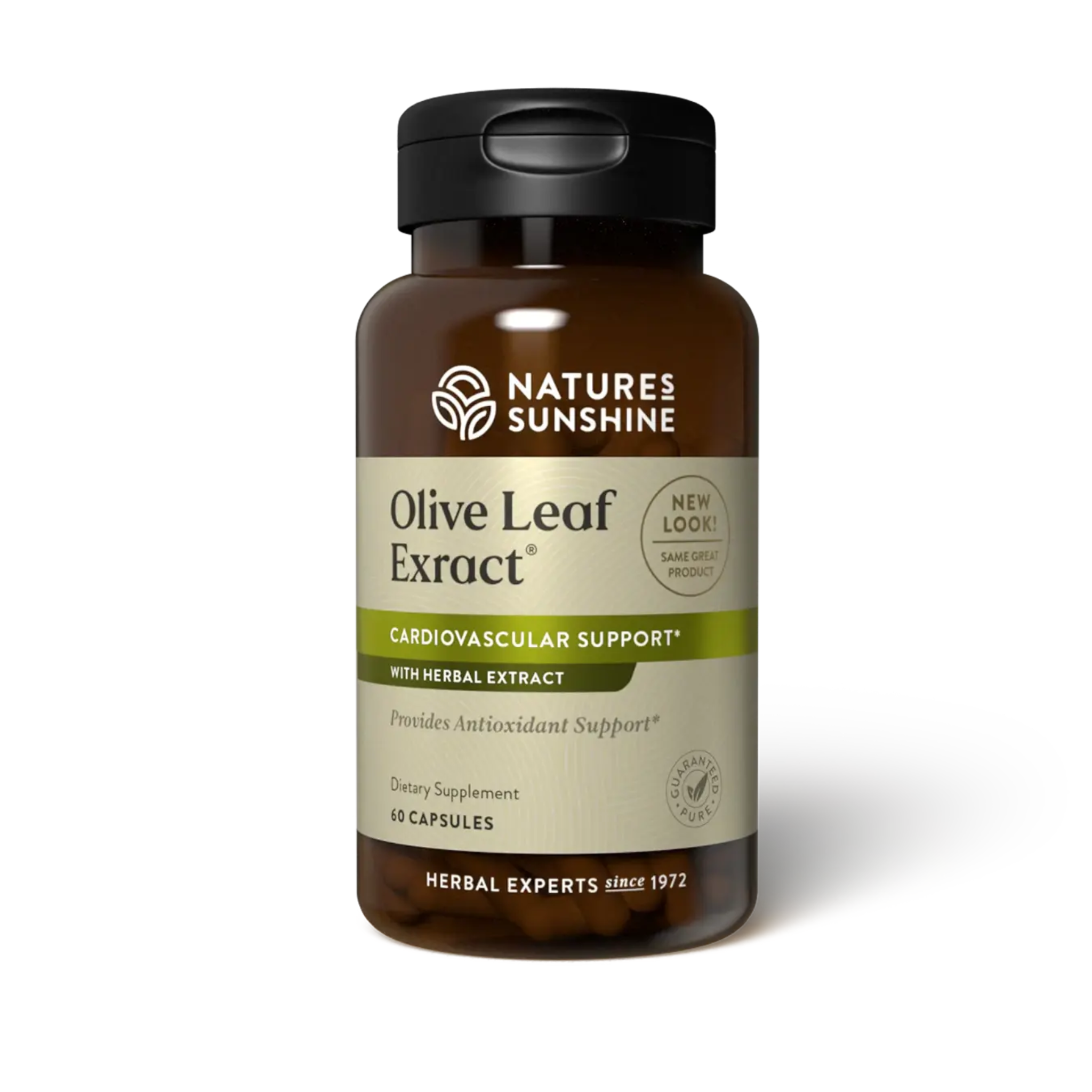 Water Fusions Nature’s Sunshine Olive Leaf Extract