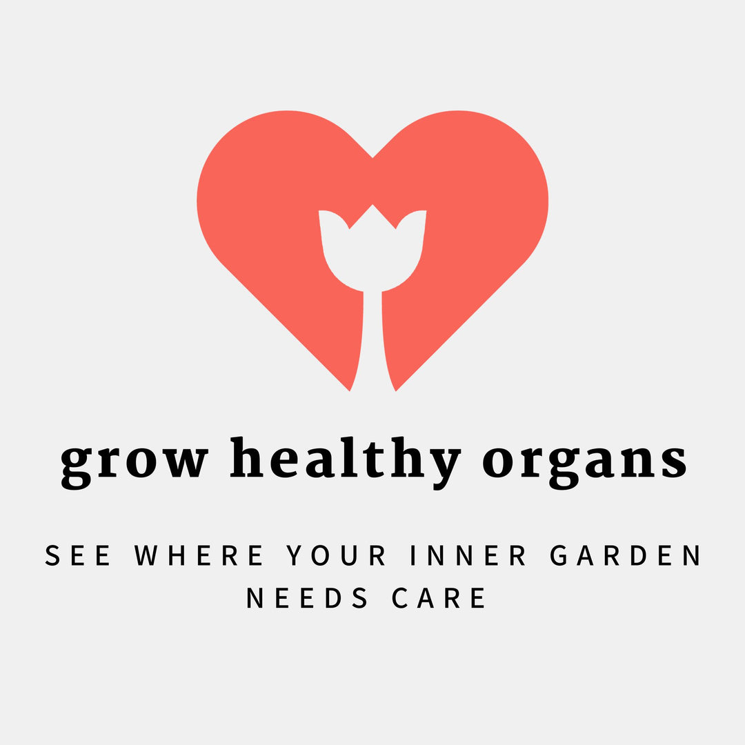 Detox, nourish and hydrate your body back to feeling 100% good vibes!