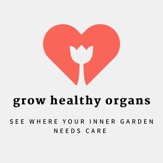 Detox, nourish and hydrate your body back to feeling 100% good vibes!