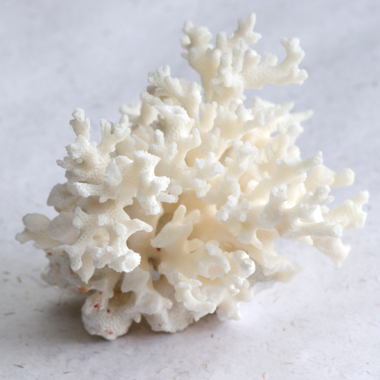 alkaline pH mobility mineral supplement