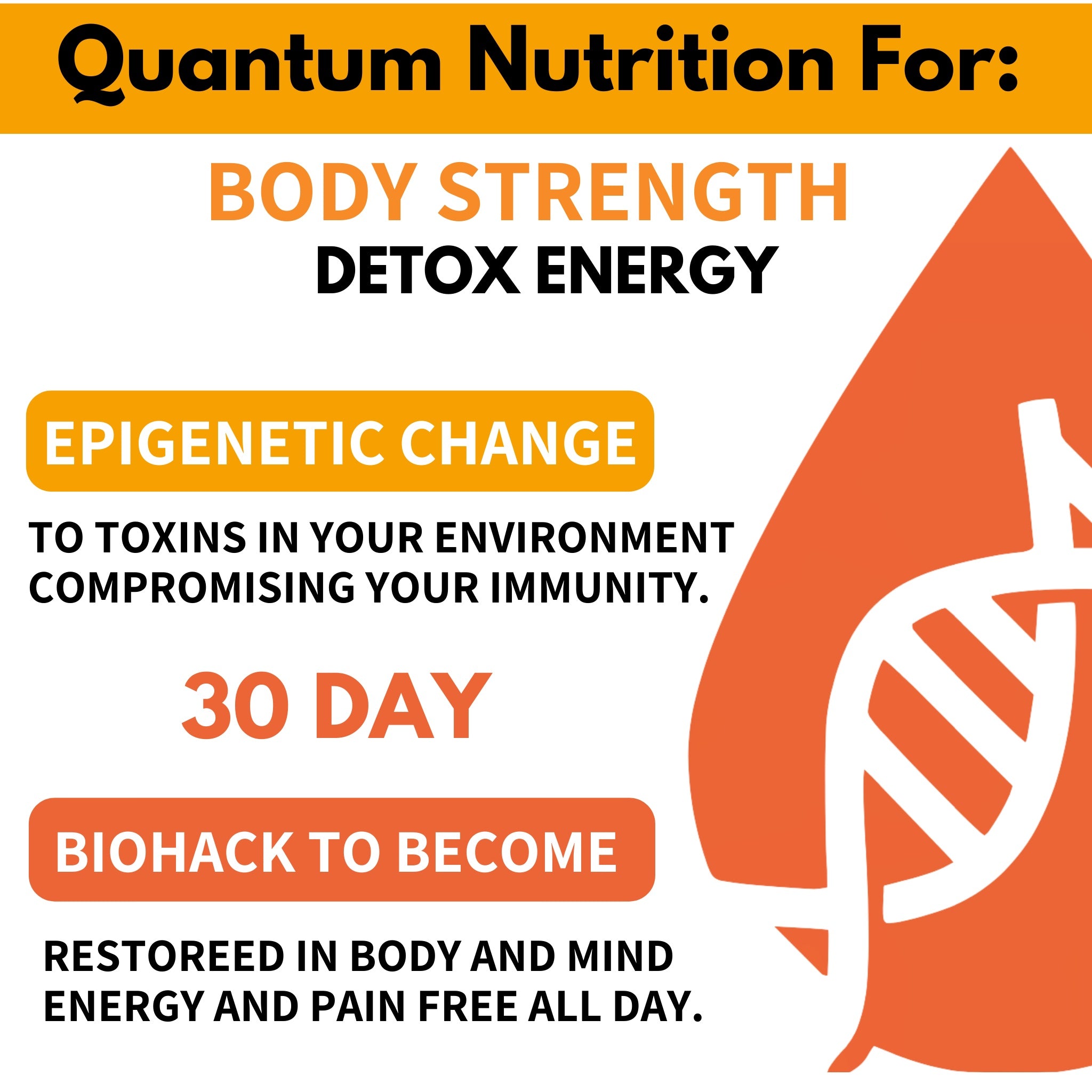 Detox, nourish and hydrate your body back to feeling 100% good vibes!