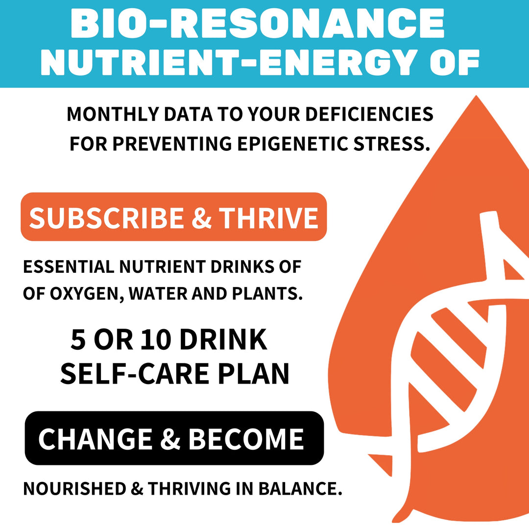 Detox, nourish and hydrate your body back to feeling 100% good vibes!