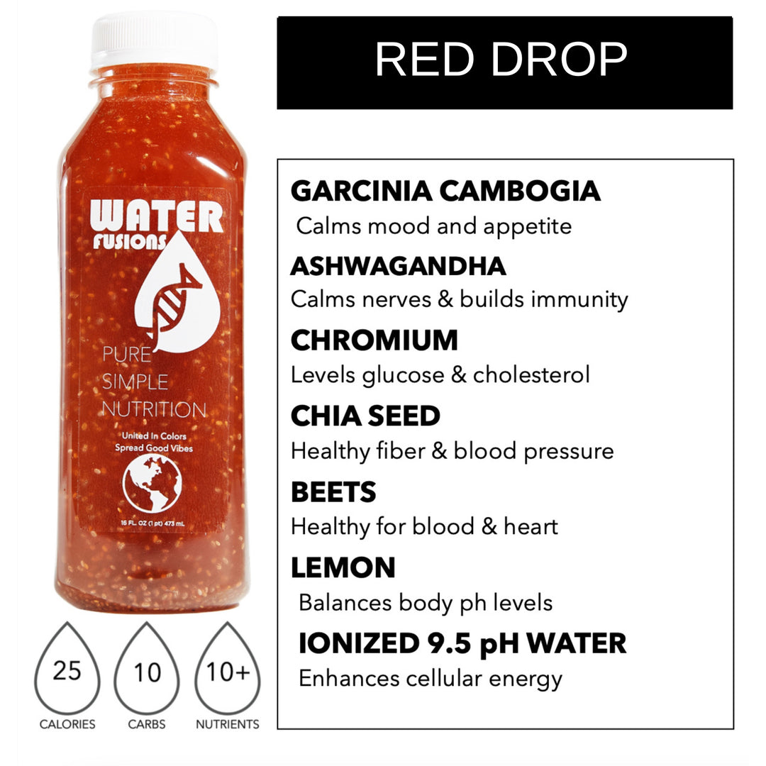 Stress Reset — Nervous System Recovery Protocol