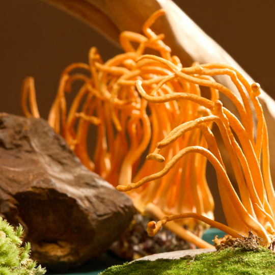 fluid balance cleansing capsules