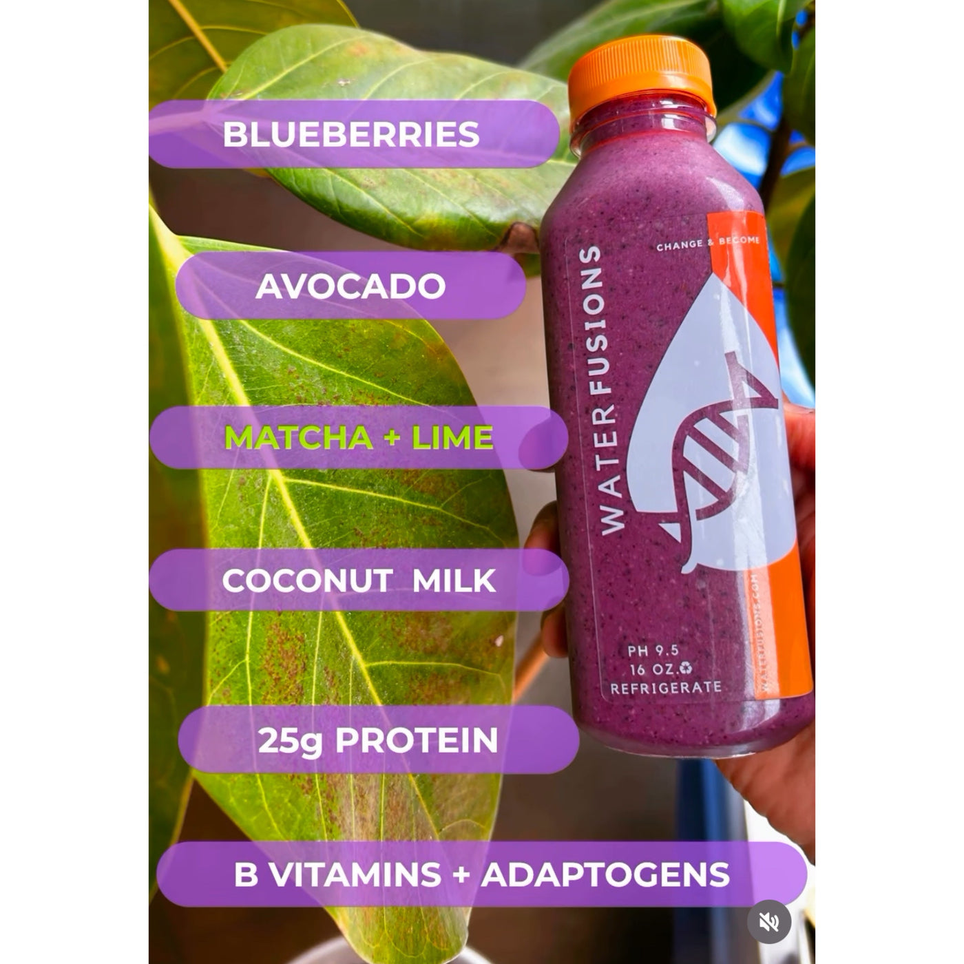 Detox, nourish and hydrate your body back to feeling 100% good vibes!