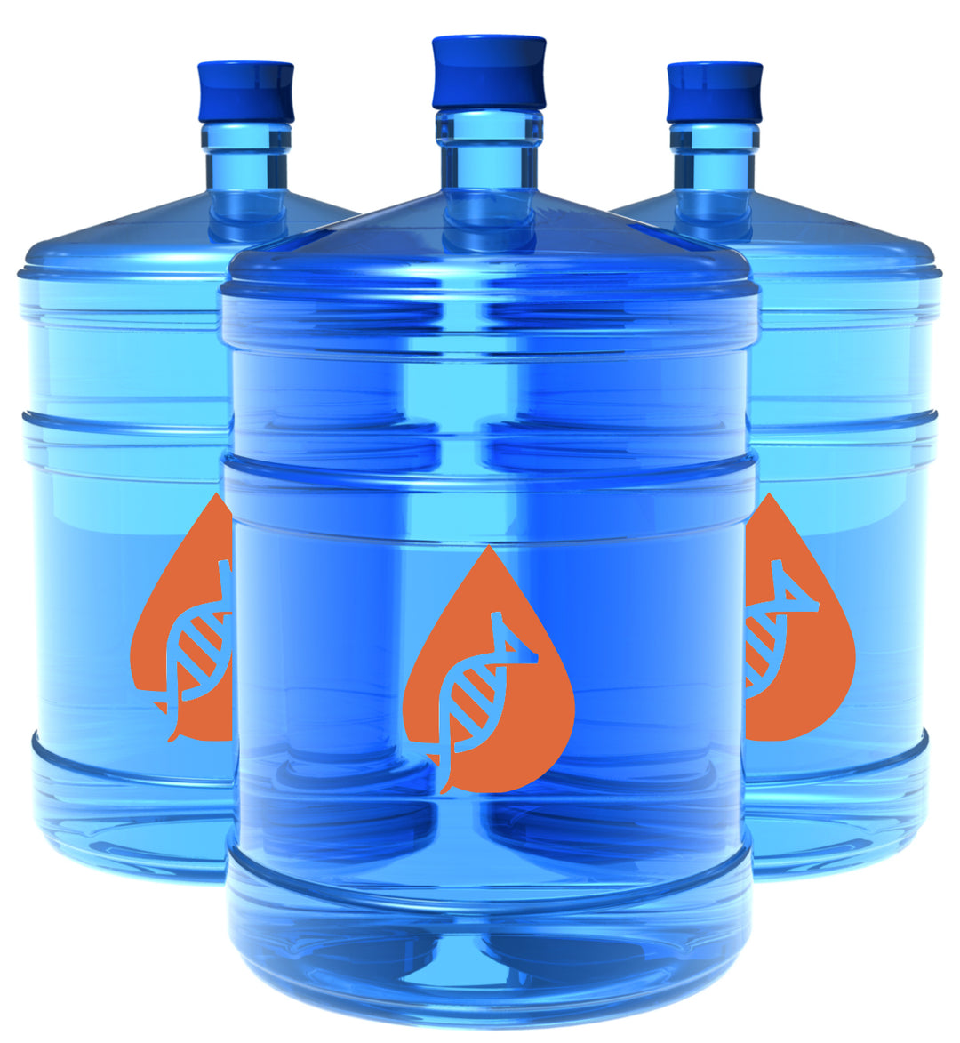Detox, nourish and hydrate your body back to feeling 100% good vibes!