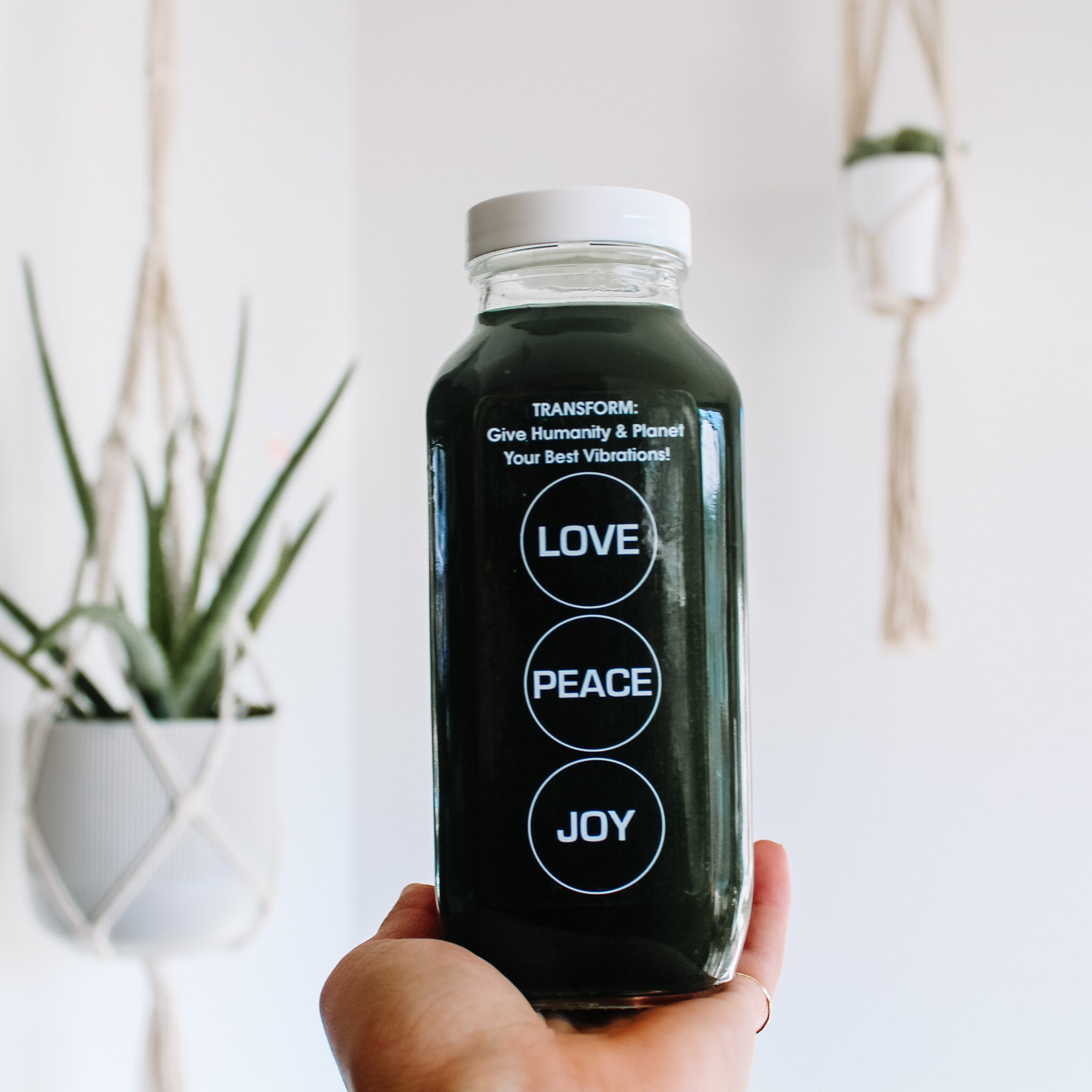 Water Fusions hydration detox collection plant-based functional drinks