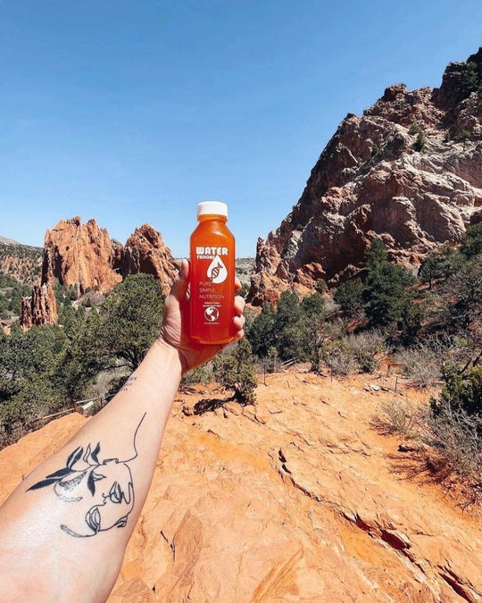hydration system for recovery and immune support