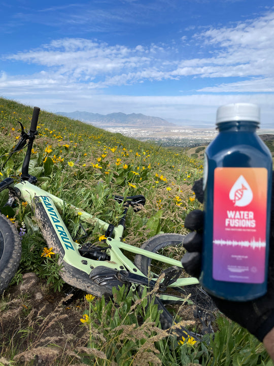• Immune and endurance hydration with blue green algae