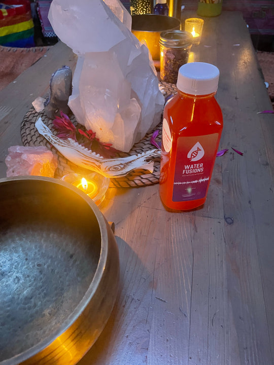  Reishi mushroom and mineral immune support drink