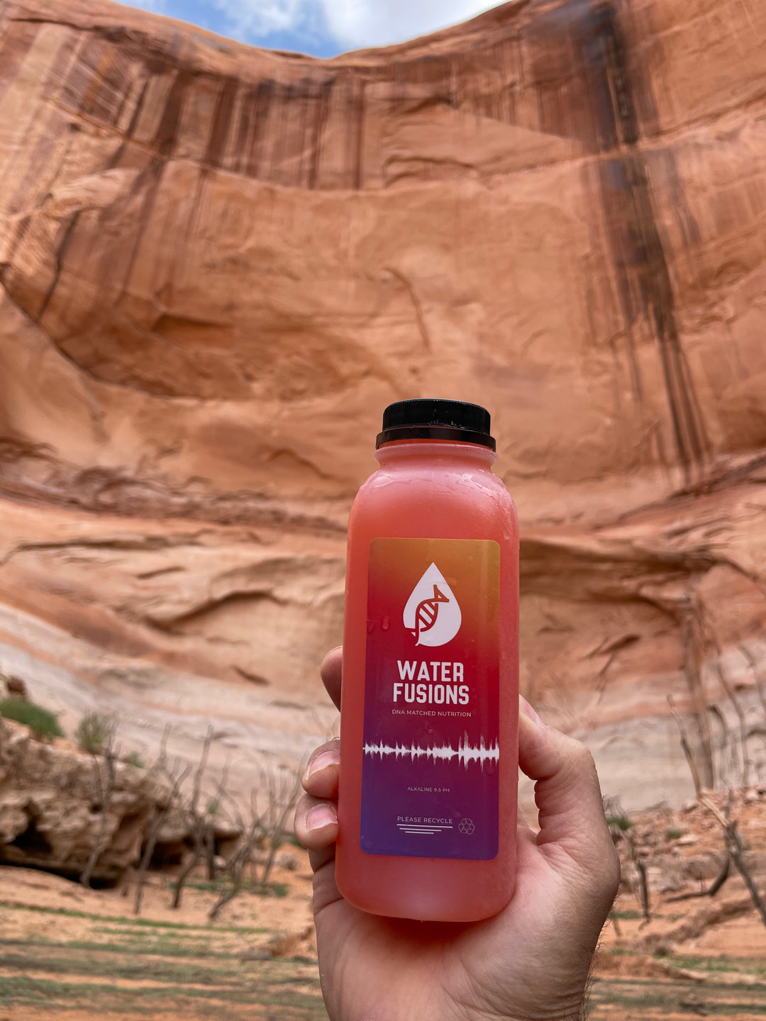 Reishi mushroom and mineral immune support drink